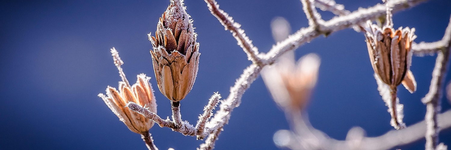 News und Inspiration für den Winter aus D-A-CH und Südtirol